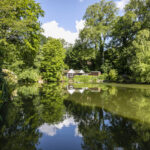 A pond surrounded by green trees