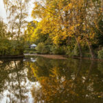 A pond in low light surrounded by autumnal trees