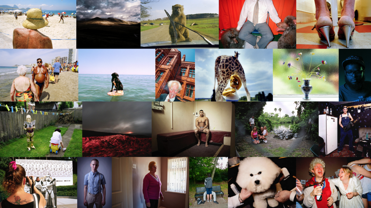 A collage of various photographs