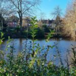 The Moor Pool