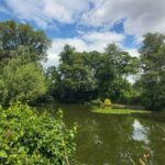 Moor Pool pond surrounded by green trees