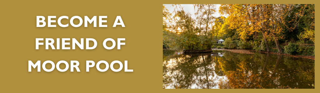 Friends of Moor Pool homepage banner