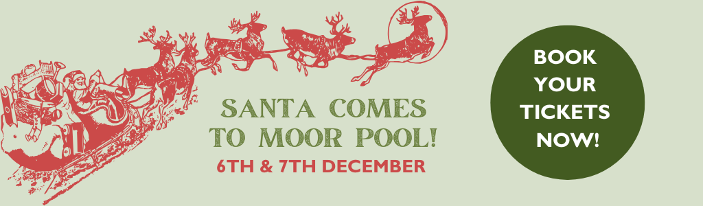 Santa's Grotto homepage banner