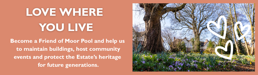 homepage banner Feb 26