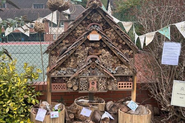Moor Pool bug hotel