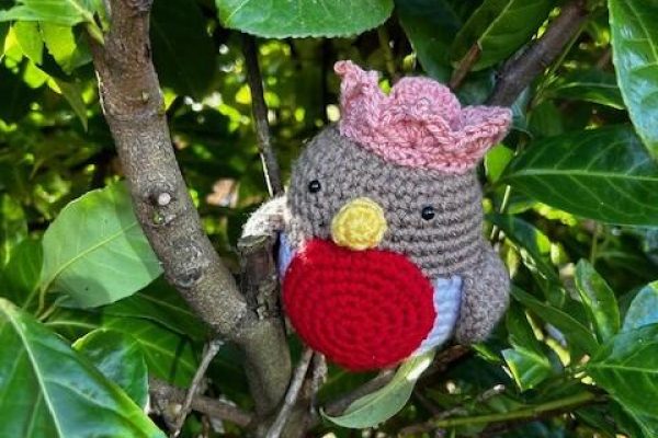 Christmas Robin trail