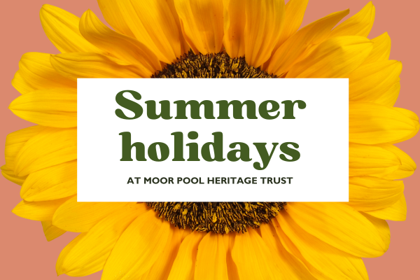 Summer holidays graphic