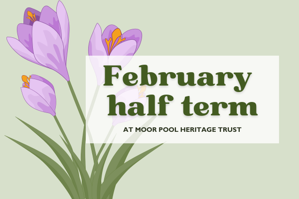 School holidays graphics (1200 x 800 px) (3)