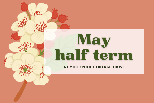 School holidays graphics (1200 x 800 px) (3)