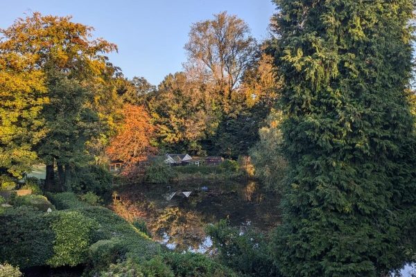 View of Moor Pool from Becca and Tom's house