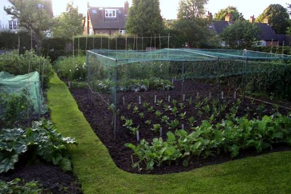 moor-pool-allotments-asscoiation moor-pool-allotments-asscoiation